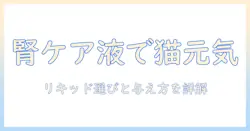 ロイヤルカナンのキャットフードで腎臓サポートを実現するリキッドの選び方と与え方