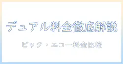 ビック・エコーのデュアル・プロジェクターでルームの料金を徹底解説