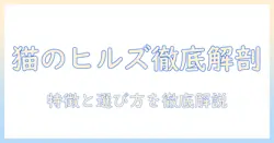 キャットフードとヒルズサイエンスダイエットを徹底解説—特徴・選び方・比較ポイント