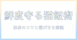 キャットフードの劣化を防止する保存術と選び方