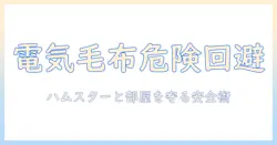 ハムスターと暮らす部屋の安全対策：電気毛布の使い方と火事を防ぐポイント