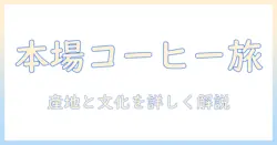 コーヒーの本場の国とは?本場とされる国々の文化と産地を詳しく解説する