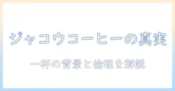 ジャコウネコのコーヒーとは？一杯の値段と背景を徹底解説