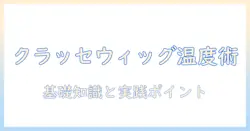 クラッセのウィッグをアイロンでスタイリングする際の温度と注意点