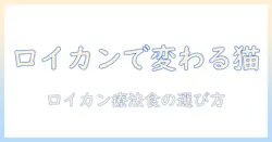 ロイヤルカナンのキャットフードと療法食を徹底解説｜猫の健康管理に役立つ選び方ガイド