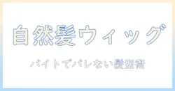 メンズ向けウィッグでバレないバイト対策: 自然な髪型を作るウィッグの選び方と使い方