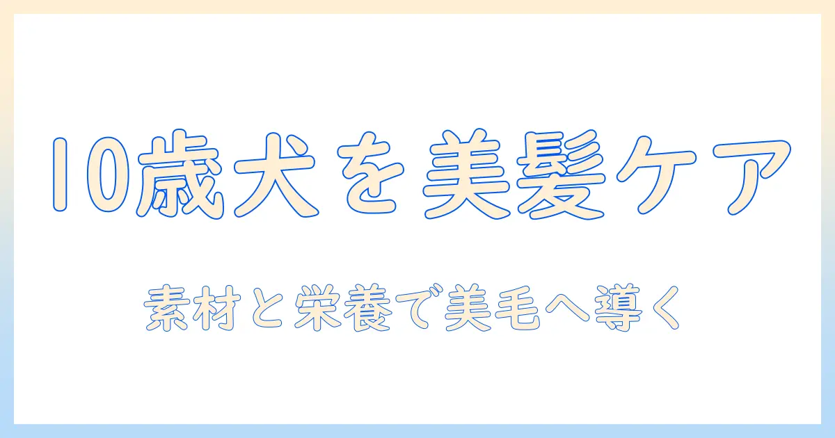 ビューティープロのドッグフードで10歳以上のドッグを美しくケアする方法