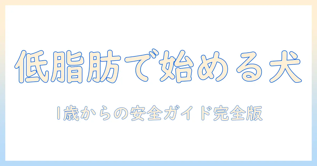 ビューティープロのドッグフードを徹底解説|ドッグの低脂肪設計で1歳から始める安心ガイド