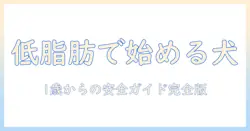 ビューティープロのドッグフードを徹底解説|ドッグの低脂肪設計で1歳から始める安心ガイド