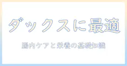ミニチュア ダックス の ドッグフード おすすめガイド：愛犬に合う選び方とポイント