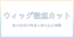 コスプレ・ウィッグのカット・持ち込み・料金を徹底解説:初心者が知っておくべきポイント