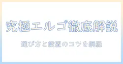 エルゴトロンのモニターアームとブラケット徹底解説—選び方と設置のコツ