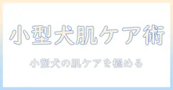 ロイヤルカナンのドッグフードとスキンケアを小型犬用で選ぶ—1キログラムサイズのポイント (x 1)