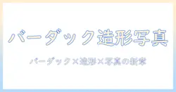 造形 師 写真 家 バーダックを軸に、造形と写真の融合で魅せる作品づくりのヒント