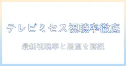 テレビミセスの第二弾の視聴率は?最新情報と展望を徹底解説