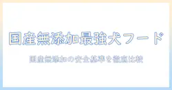 ドッグフードの国産・無添加ランキング徹底比較:安全性で選ぶ国産ドッグフードガイド