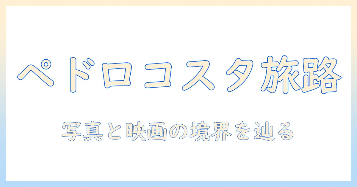 写真美術館で出会うペドロコスタの世界:写真と映画の境界を探る