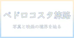 写真美術館で出会うペドロコスタの世界：写真と映画の境界を探る