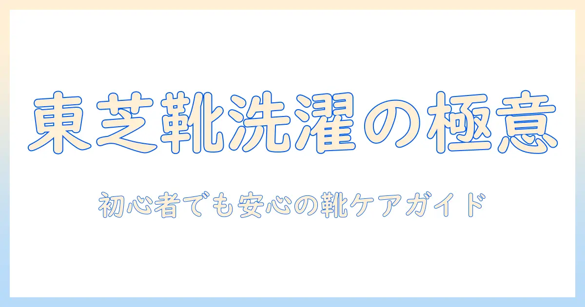 東芝の洗濯機で靴を洗う方法と脱水のコツ—初心者でも安心の靴ケアガイド
