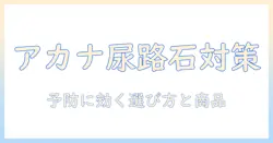 アカナのキャットフードと尿路結石の関係を解説:予防に適した商品と選び方のポイント