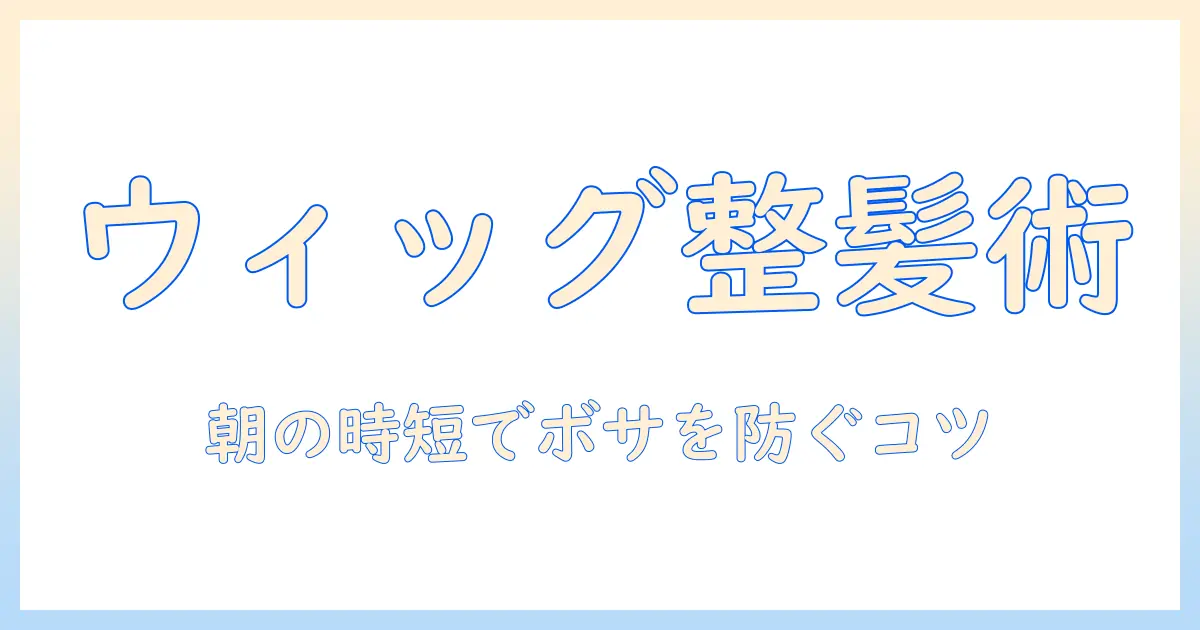 ウィッグのボサボサにならない方法
