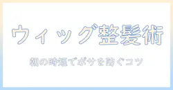ウィッグのボサボサにならない方法