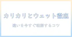 キャットフードの選び方:カリカリとウェットの違いを徹底解説