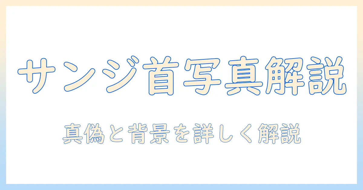 サンジ 賞金 首 写真を徹底解説｜真偽と背景を詳しく解説