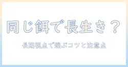 キャットフードをずっと同じにして大丈夫?長期的な選び方と注意点