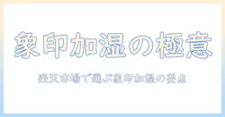 楽天市場で買える象印の加湿器を徹底解説｜選び方とおすすめモデル