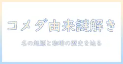 コメダの名前の由来と珈琲の語源を解く—コメダ珈琲店と日本のコーヒー文化の成り立ち