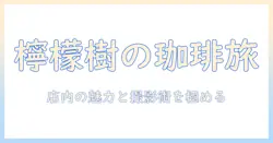 珈琲と檸檬樹の写真で綴るカフェ旅—魅力の店内と撮影テクニックを学ぶ