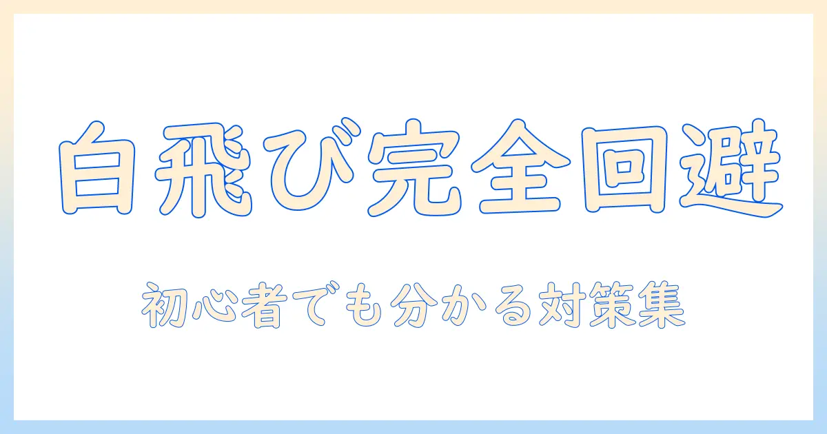 写真 白飛びとは – 原因と対策を初心者向けに解説
