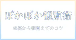 フジテレビのぽかぽか番組観覧募集情報｜テレビ視聴者必見の応募方法と観覧のコツ