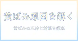 加湿器 フィルター 黄ばみ 原因を徹底解説：黄ばみを防ぐ方法と清掃のコツ