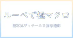 ルーペ スタジオ 写真でマクロディテールを極める撮影ガイド