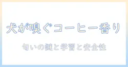 犬がコーヒーの匂いを好きになる理由を解く—犬とコーヒーの匂いの関係を探る