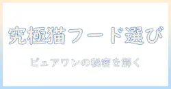 キャットフードの選び方とピュアワンの特徴|家庭の猫にぴったり見つけるガイド