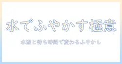 ドッグフードを水でふやかす方法と与え方のポイント