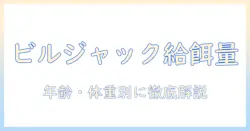 ビルジャックのドッグフードの量を徹底解説：年齢・体重別の給餌量ガイド