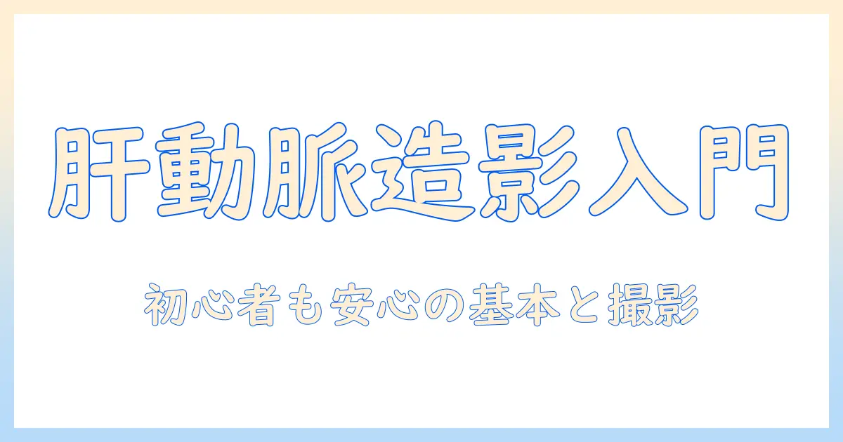 血管 造影 写真 肝 動脈の基礎知識と撮影ポイント｜初心者向けガイド