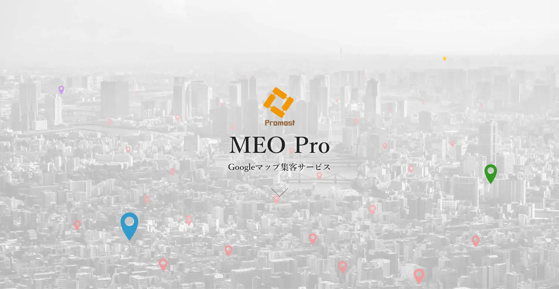 【MEOツール】MEO Proの詳細