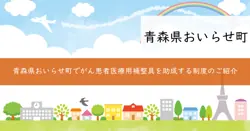 がん患者医療用補整具助成事業の画像