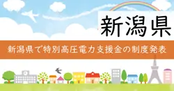 特別高圧電力利用事業者等支援事業補助金の画像