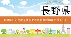 がん患者へのアピアランスケア助成事業の画像