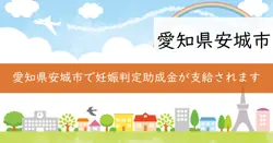 妊娠判定に係る初回産科受診料助成金支援事業の画像