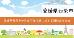 特定不妊治療（先進医療）費補助金の画像