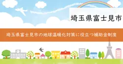 次世代自動車等導入促進補助金の画像