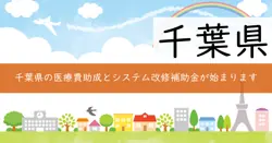 医療費助成のオンライン資格確認に係るシステム改修補助金の画像