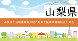 地域課題解決型起業支援事業費補助金の画像